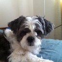 Kimberly Brabham - @KimBrabham - Twitter