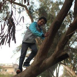 ItsAmrHamdy's profile picture. 