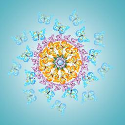 MaribelAraque1's profile picture. 