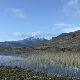 myskyelife's profile picture. 