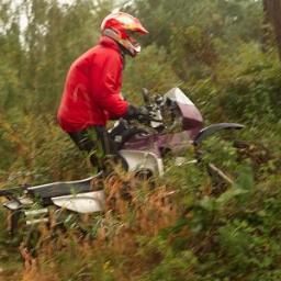 Ruujan13's profile picture. 