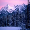 ekin__lF2Mamina's profile picture. 