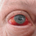 John Tilden - @johngtr - Twitter