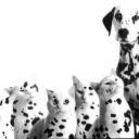 berstler__pWKTm's profile picture. 