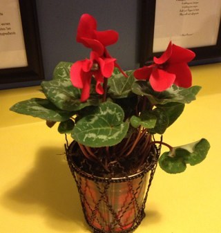 tcaldwelllwa's profile picture. 