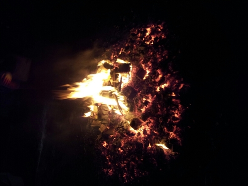 bani2918's profile picture. 내가 마음이 좁다쫌