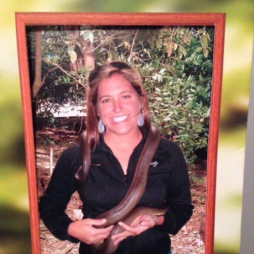 kmohning's profile picture. 