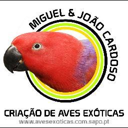http://t.co/48prsEmvju