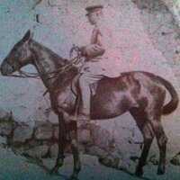 Dashwood Books (@dashwoodbooks) 's Twitter Profile