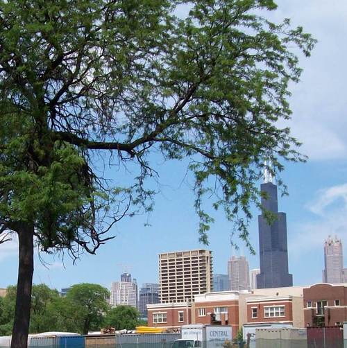 Info on expanding the Chicago sustainablity comunity.