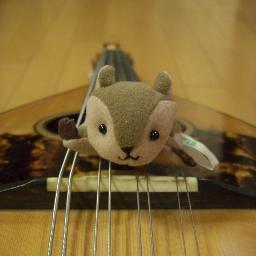Presto Mandolin Orchestra/Mandolin ensemble 宙