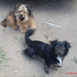 I_PITY_U_'s profile picture. JUST ★ ⓕⓞⓛⓛⓞⓦ★ ME.. I WILL FOLLOW BACK!!! I'm a okay person.. Great friend.. Like to have fun, go to new places but mostly stay home and have lots of sex