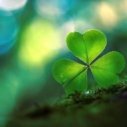 juvonews's profile picture. 