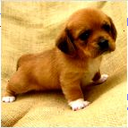 aria lea gaston - @mixbeat14 - Twitter