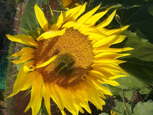 youngmi9508's profile picture. 