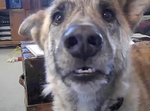 buntty94's profile picture. I live my life on purpose and for my family. I love donating to charity organization big and small. Never through anything away-donate it.