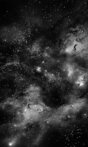 OhitsNobody's profile picture. Fuck it I'm young. I tweet what I feel, I don't care if you find it real. ✌ ask for a follow back.