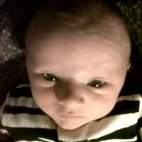 RyanTingle (@ryantingle) 's Twitter Profile Photo RyanTingle (@ryantingle) 's Twitter Profile Photo