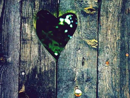 Rookie_Love's profile picture. Just started 29-12-12 so don't think I'm not popular :) I express my feelings and tweet relatable stuff in English and Dutch so start following and RT'ing! 3