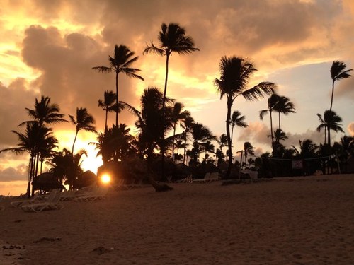 mbato12's profile picture. 