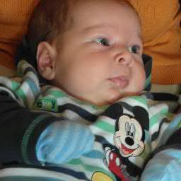 ekamchedliani's profile picture. 