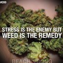 timmy - @dan_dan_bristol - Twitter