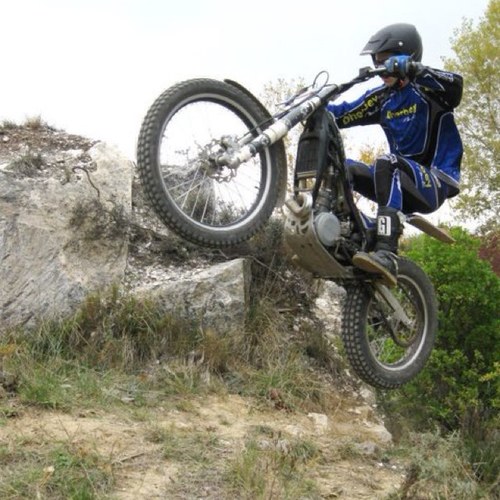 AloisCesana's profile picture. 