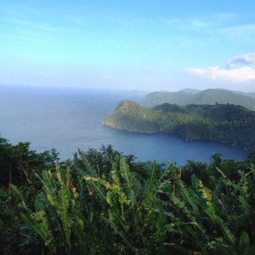 robmvross's profile picture. 