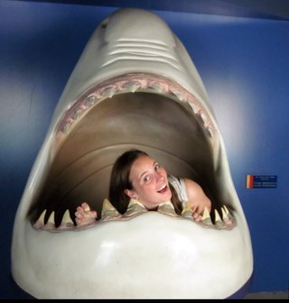 A lover of all things Elasmobranch.