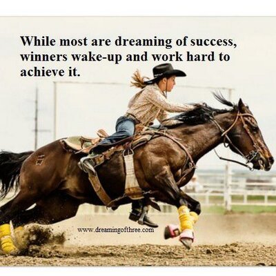 Horse Quotes Horsequotes43 Twitter Horse Quotes Horsequotes43 Twitter