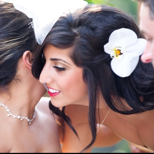 tarajalilvand's profile picture. 