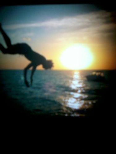 love the life.