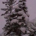 Barb George - @BarbGeorge - Twitter