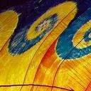 Joanna Steele - @spartianite - Twitter