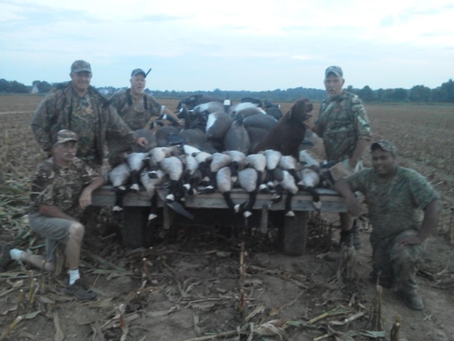 96_duck's profile picture. Killing ducks and kissing babies since 1996!!!