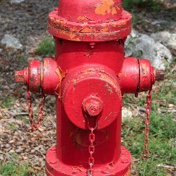 Loopner57's profile picture. A thinker, born in 57 who likes honest dialogue on important ideas like  abortion, CSCOPE, public education in TX., parenting, etc.