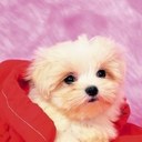 nayeli jimenez - @nayelijimenez04 - Twitter