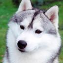 Daryl isaac - @daryilli - Twitter