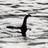 CryPtoReports's profile image