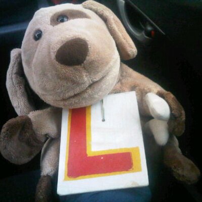 Clem on sale stuffed dog