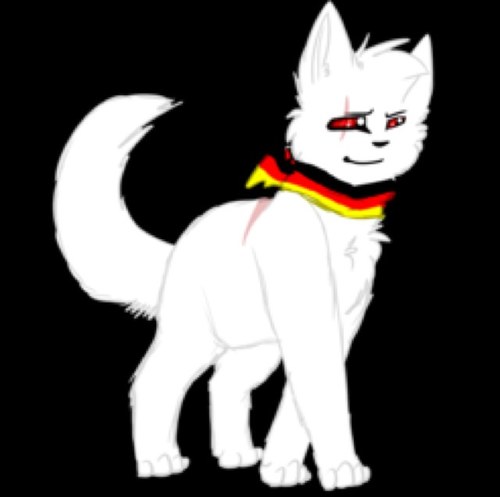 Hallo I am indeed the awesome Prucat but not as awesome as my best buddy @awesomegilgil^.