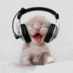 Steven (@clogicca) Twitter profile photo Steven (@clogicca) Twitter profile photo