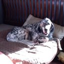 Dave Kline - @badsmells1 - Twitter