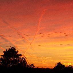 btr54cup's profile picture. Loves family and family gatherings, Christmas, UVA Cavaliers, Virginia Tech Hokies, ice cream, the Super Bowl (last game of the season)!!