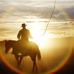 TheMattking15's profile picture. Just an Illinois Country Boy, I love mma. #modder  #swimming, designer     
https://t.co/AKGh2o3UDY