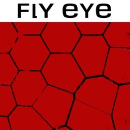 flyeyemedia's profile picture. I am a filmmaker and story architect!  Check out http://t.co/ifQX5pvrU7 and http://t.co/w53SMBuWQF for work/social/random stuff. Thx, Zac Murphy