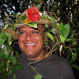 Grower direct Tropical flowers, foliage, and plants shipped nationwide from the Big Island of Hawaii.