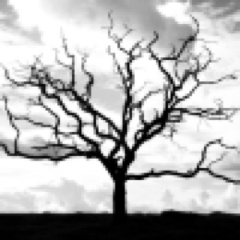 blogofdeath's profile picture. Obituaries of the famous, infamous and previously unknown. For news about death, grieving, cemeteries & all things beyond the veil, go to http://t.co/o2RU6lWz