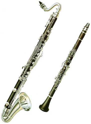 Chicago area clarinet player and teacher.