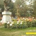 ManojitSarkar - @Manojit_Sarkar - Twitter